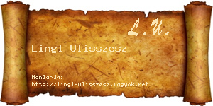 Lingl Ulisszesz névjegykártya